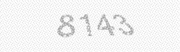 Visual security code — type the characters shown in the image